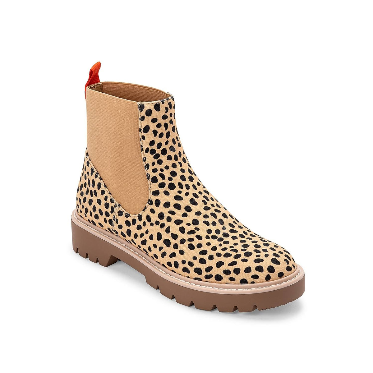 Leopard Canvas Shoes D753576