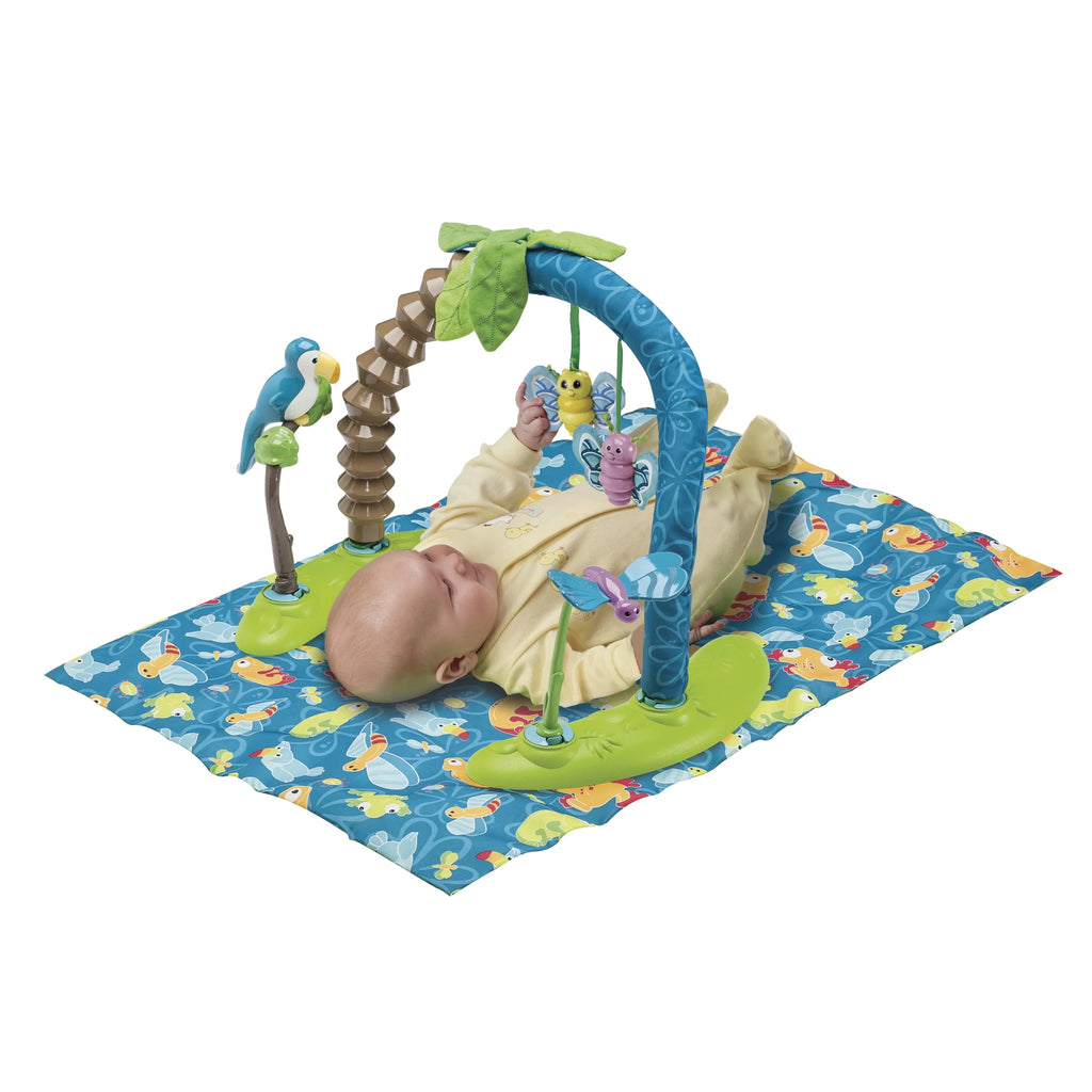 Bouncing Activity Saucer B7593