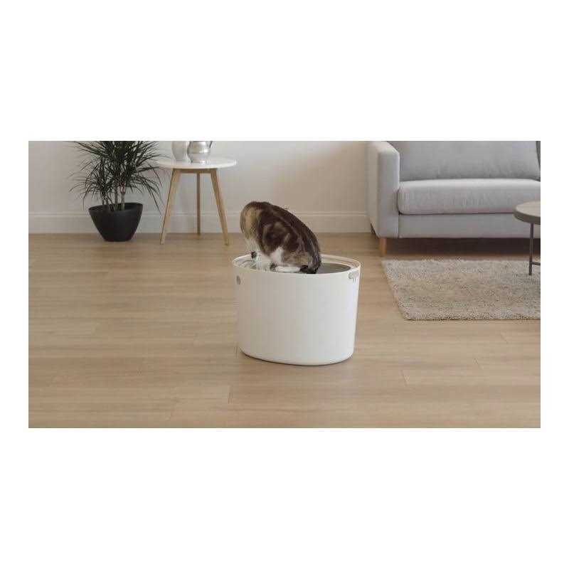 Top Entry Cat Litter Box with Scoop Q23658