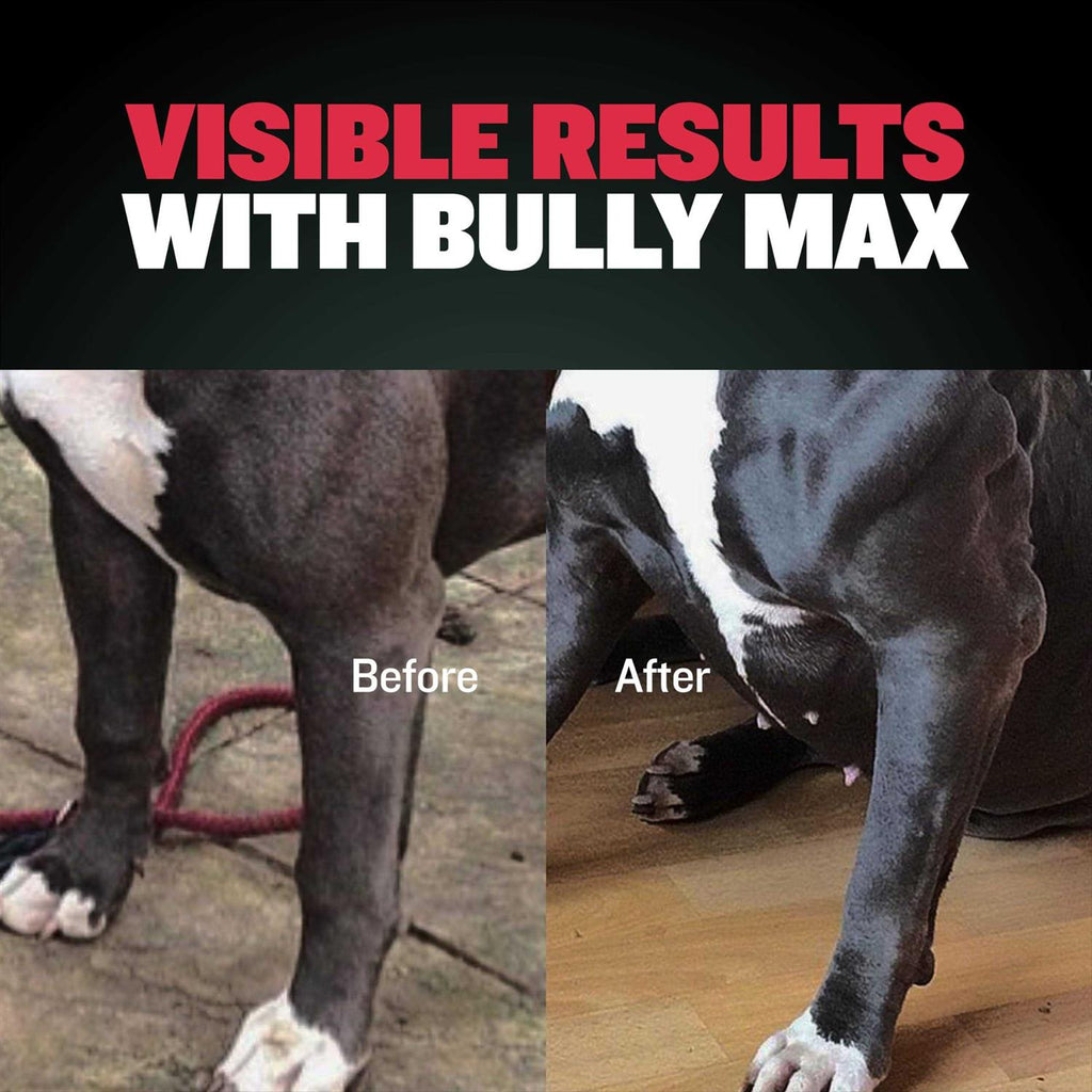Liquid Weight Gainer Supplement for Dogs W6787