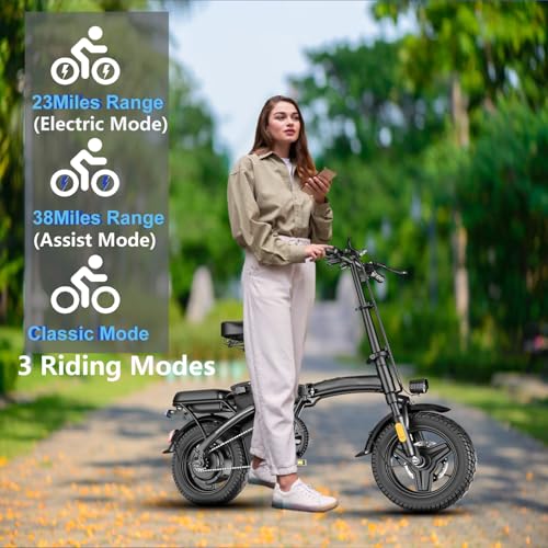 Peak 500W 23MPH Folding Electric Bike 48V 12AH F15389