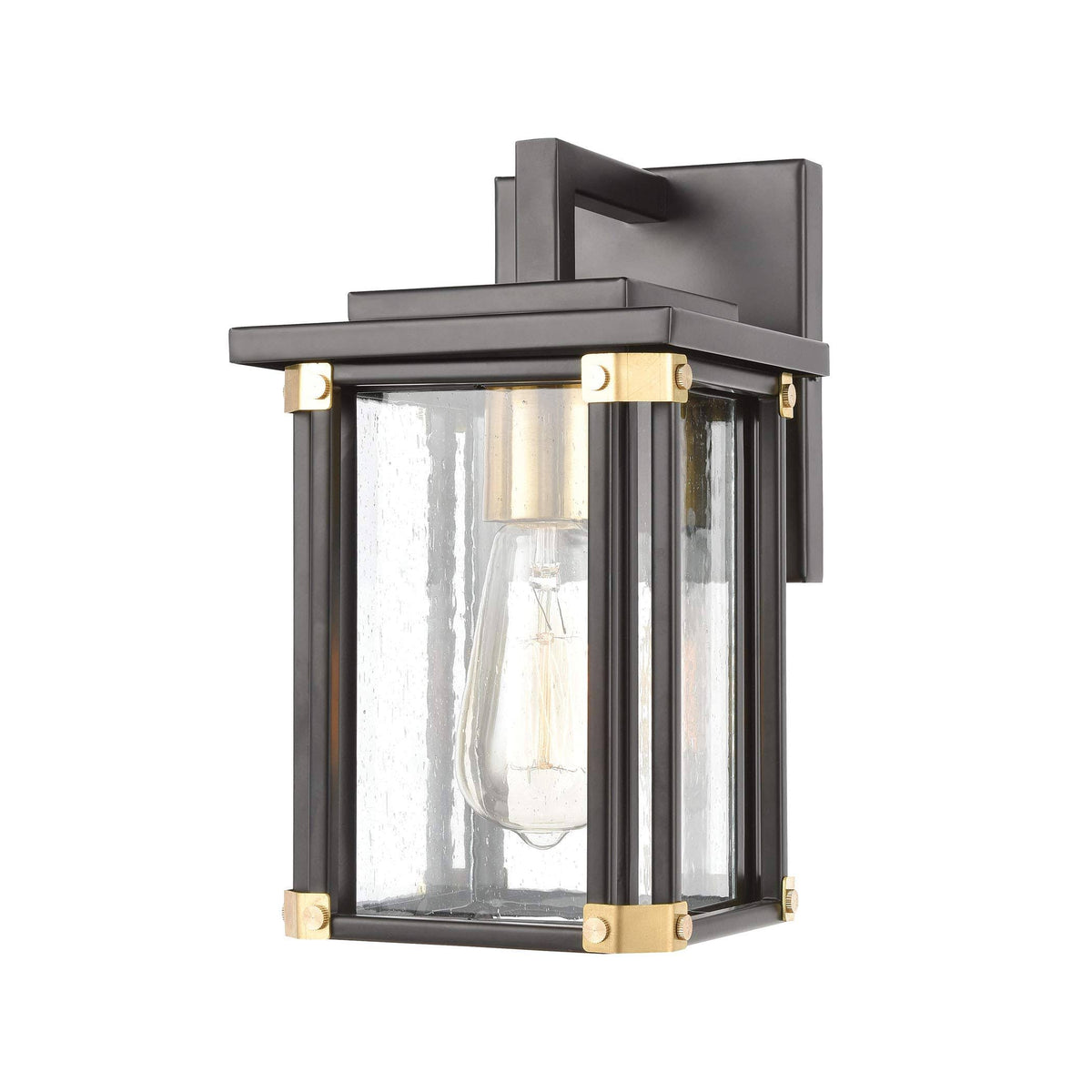 Matte Black 1-Light Sconce with Seedy Glass U49579