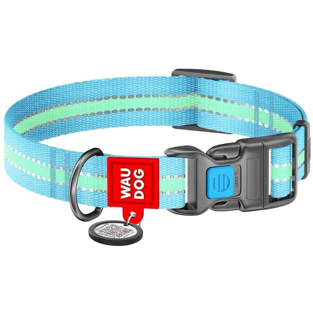 Glow in the Dark Nylon Dog Collar Blue C5915