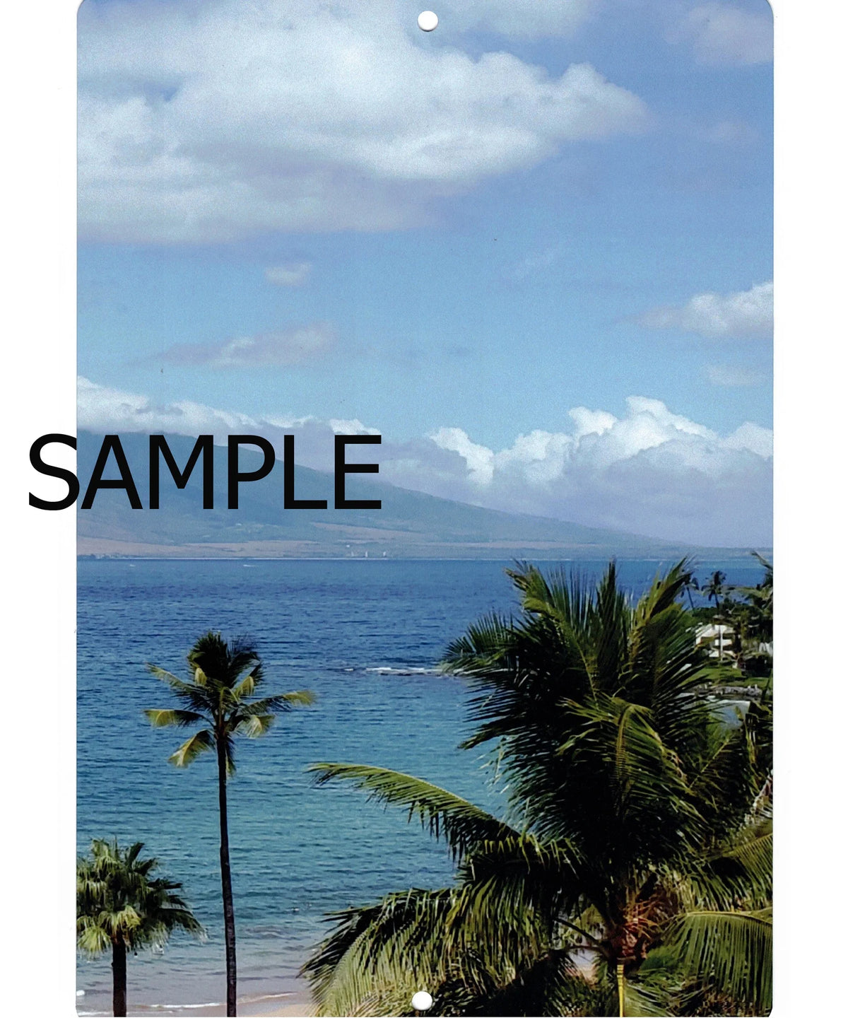 12x16 Metal Sign Print X149075