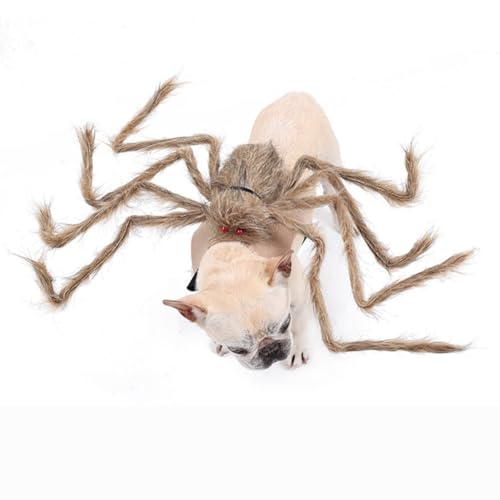 Dog Halloween Spider Costume with Adjustable Fasteners V990