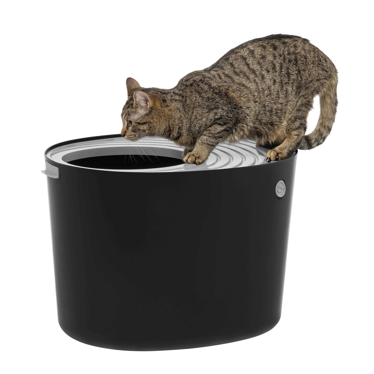 Top Entry Cat Litter Box with Scoop Q23658