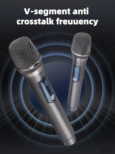 Rechargeable Wireless Dual Handheld Dynamic Microphone C1845